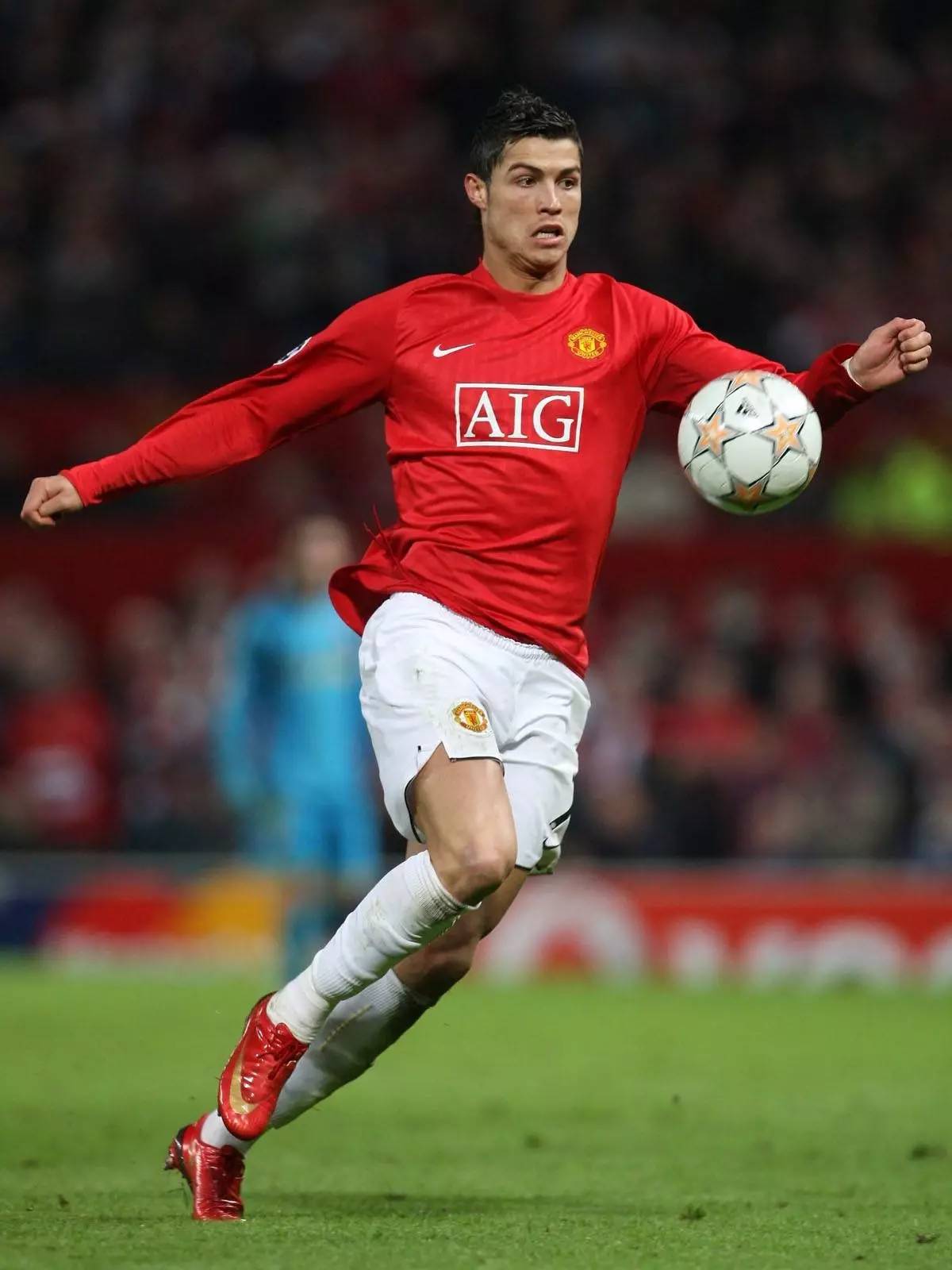 应在后续文 应在后续文