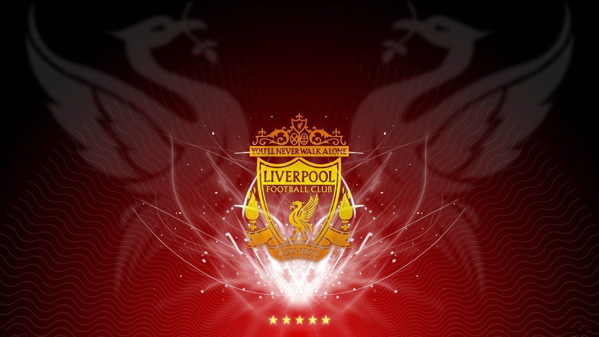 十二月必须 十二月必须